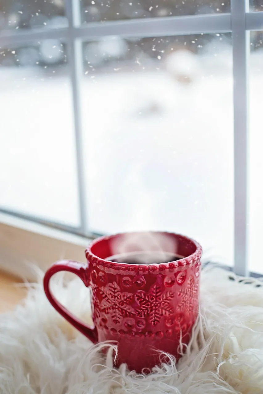 A warm cup of coffee by a snow-covered window, evoking Canada's long, sun-scarce winters